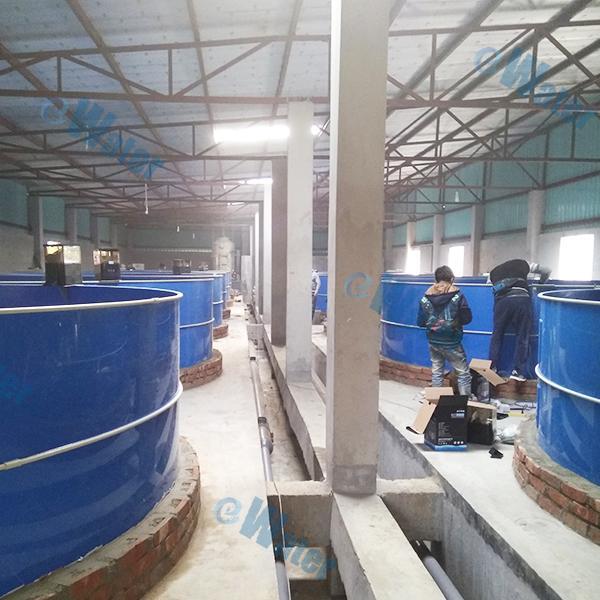 Pisciculture Fish Farming/Uses