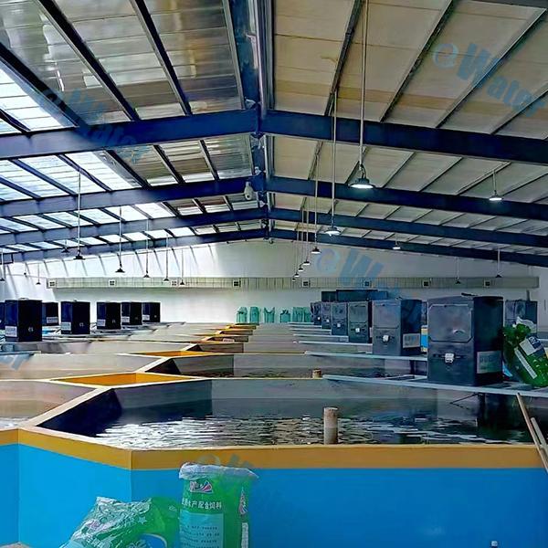 Ras System Service and Quality