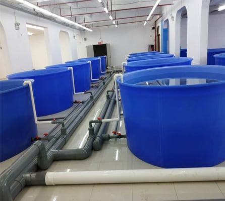 Pisciculture Fish Farming Trout Incubator Shrimp System RAS details