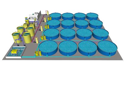 Application of recirculating aquaculture system in Africa