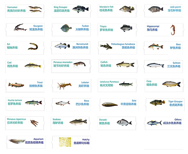 High Efficiency RAS Bio Filter for Aquaculture Equipment factory