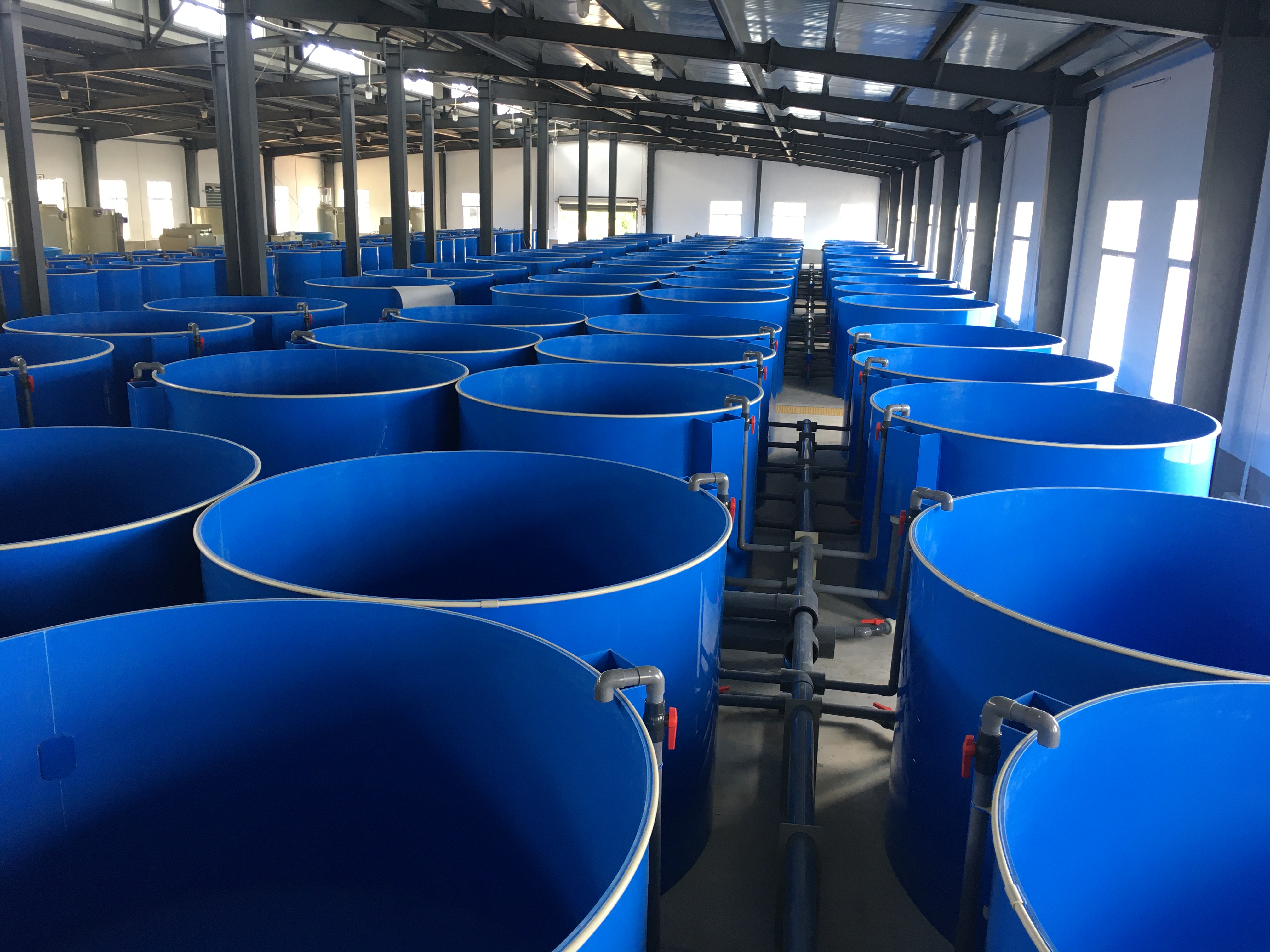 Recirculating Aquaculture System manufacture