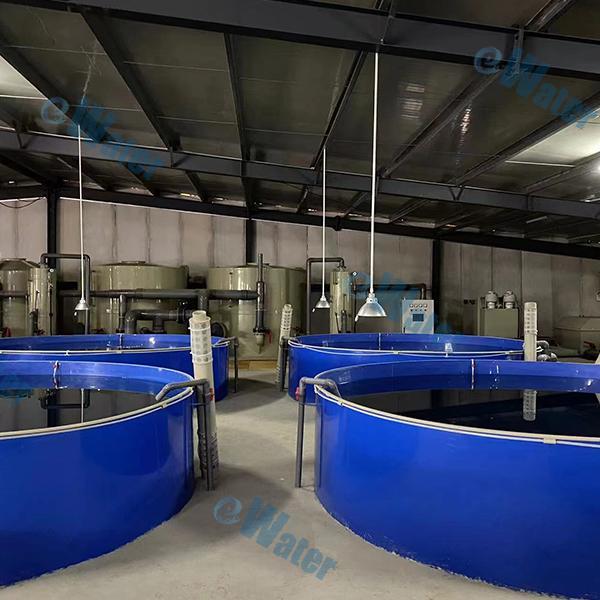 Drawbacks of fish pump aquaculture