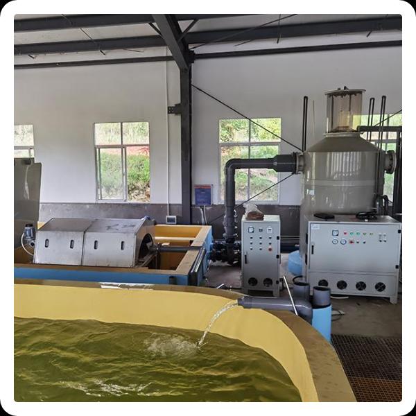 Benefits of the Rotari Drum Filter Koi Pond