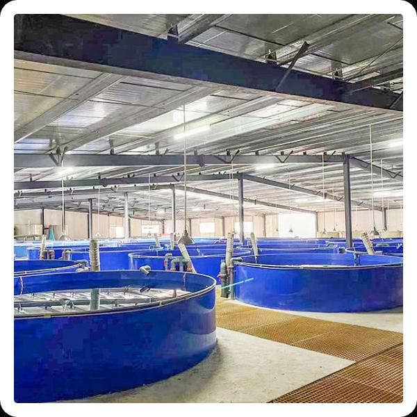 Benefits of Indoor RAS