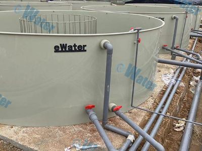 What Advanced Hatcheries Look for in Egg Disinfection Tech