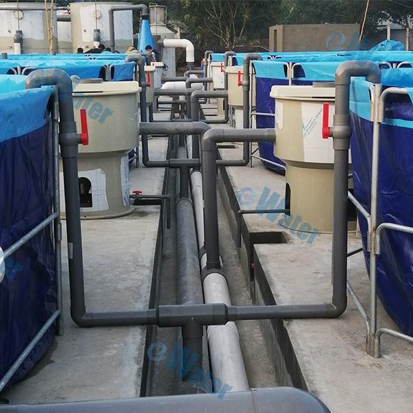 Novel Equipment for Cleaner and Eco-Friendly Fish Farming