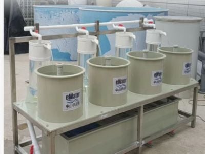 The Role of Automation in Large-Scale Fish Farming Machine Operations