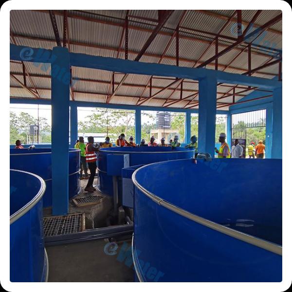 Advanced disinfection technology for improved biosecurity in aquaculture facilities