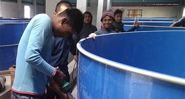 Industrial Ozone Generator Machine for Aquaculture System supplier