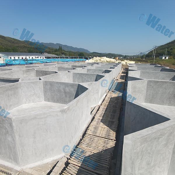 Promoting food security with recirculating systems