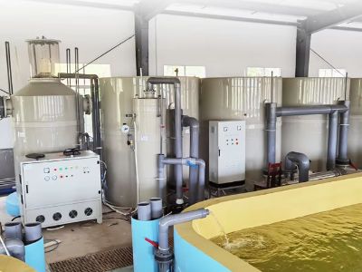 What Temperature Control Systems Do for Fingerling Production