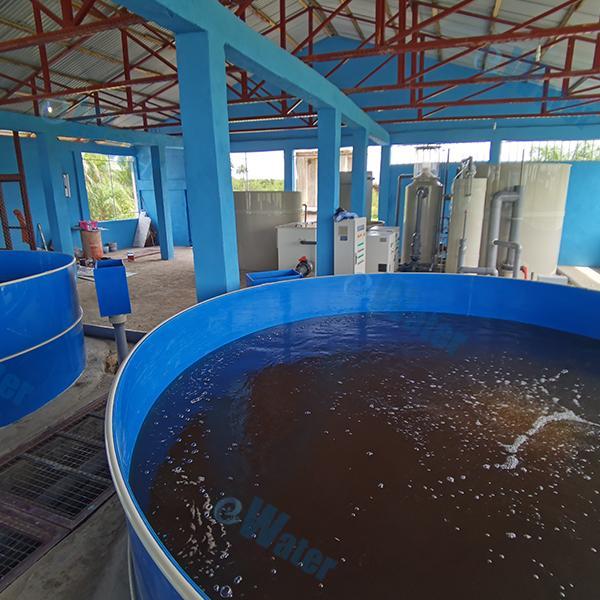 Getting More Out of Hatchery Machines