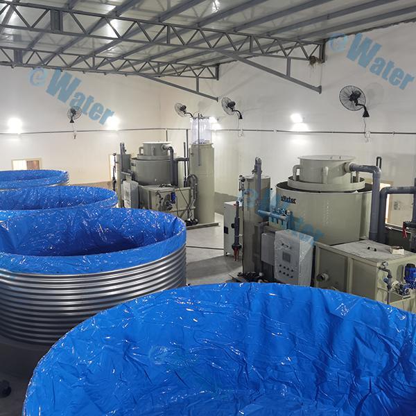 Safety of RAS System Fish Farming