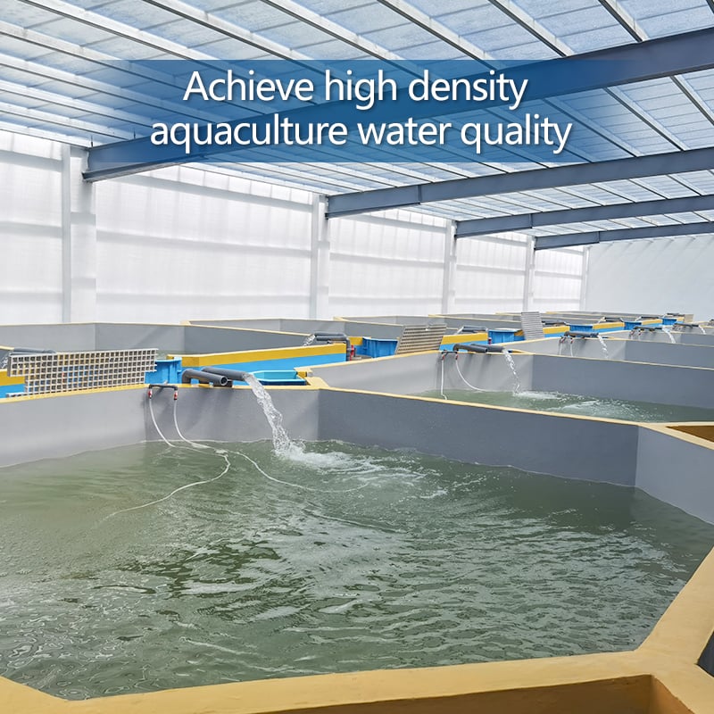 Pisciculture Fish Farming Trout Incubator Shrimp System RAS factory