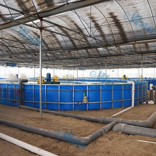 Own a shrimp farm...but indoors?