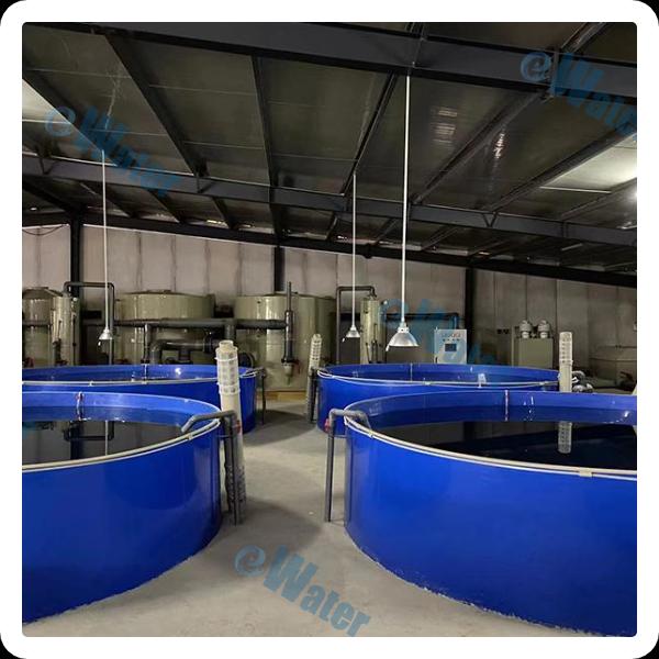 Innovative techniques for enhancing fish pump aquaculture