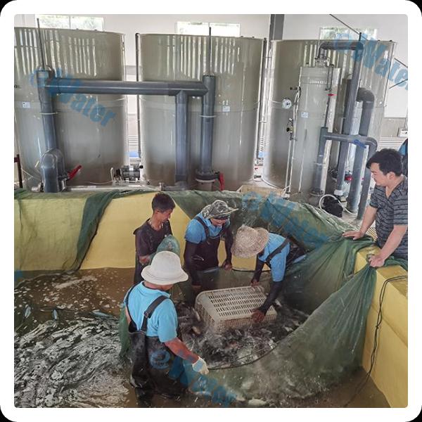 Using Rotary Drum Vacuum Filtration