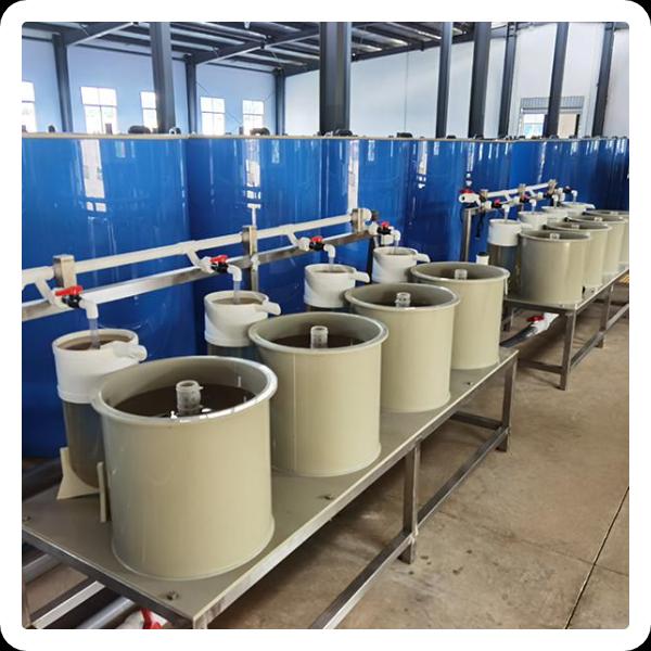 State-of-the-Art Fish Hatchery Technology for Best-in-Class Fingerlings