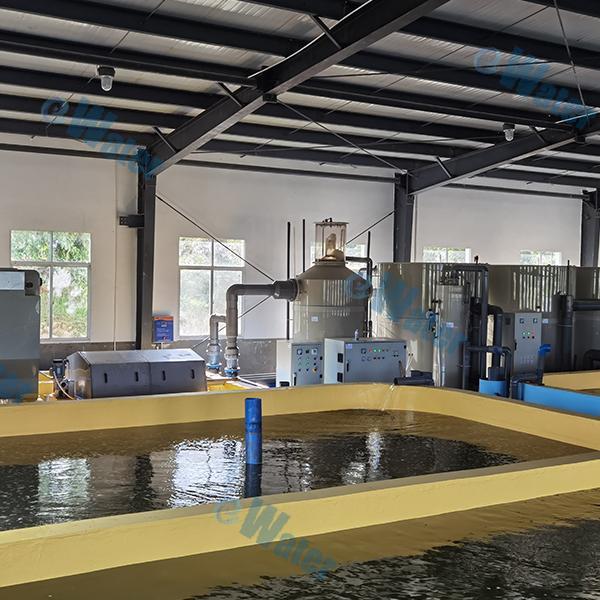 Maximizing efficiency in a recirculating aquaculture system