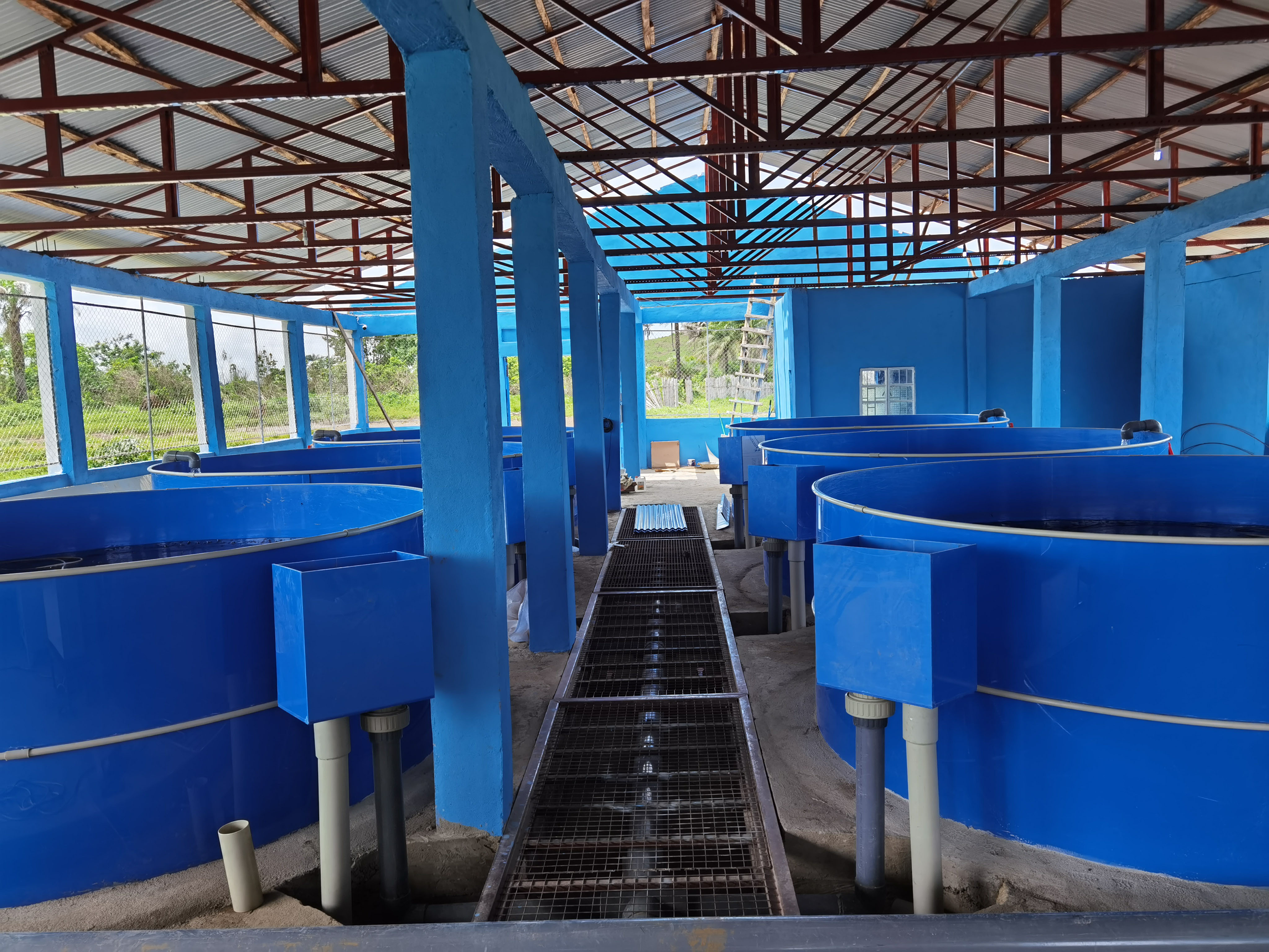 Intensive RAS Fish Farming For Land-based Pond Fish Farm supplier