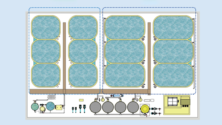 Recirculating Aquaculture System manufacture