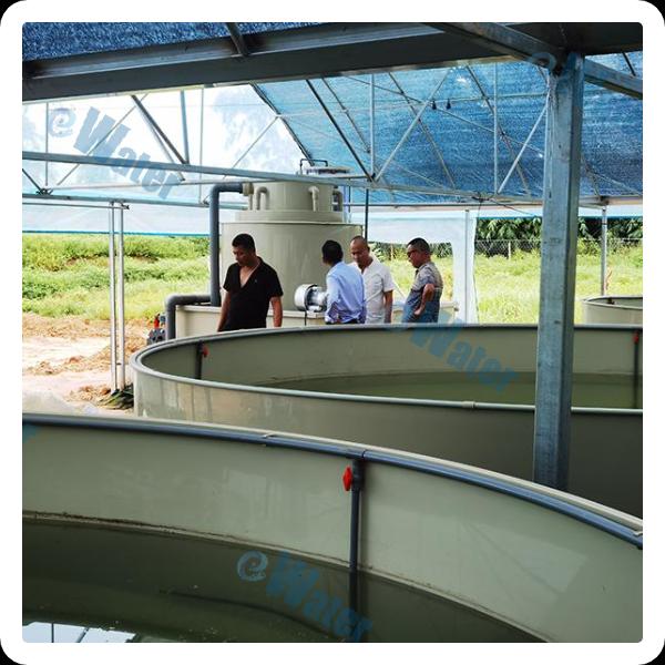 Hatchery Machines And Fish Farming Practices Evolved