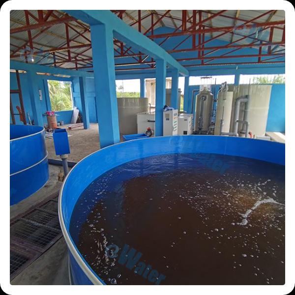 Leading the way in next-generation aquaculture tech
