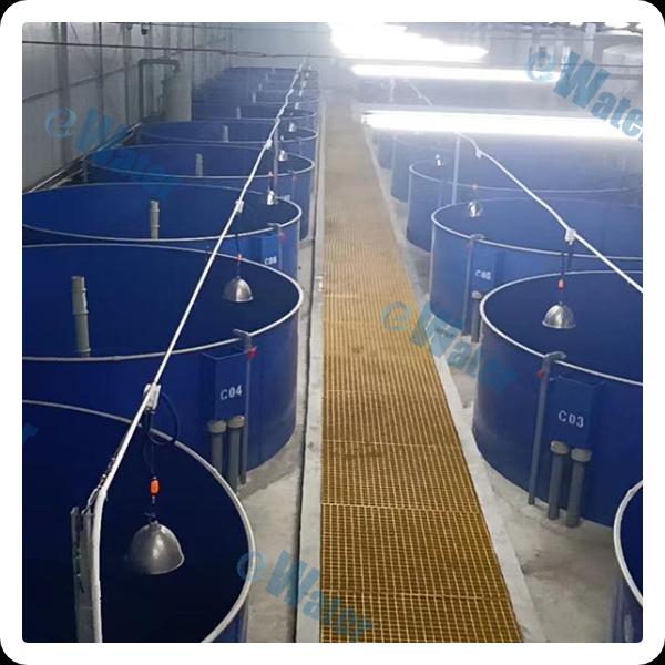 Safety of the RAS Water System
