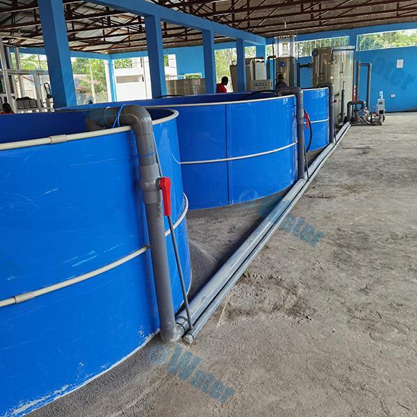 Safety Considerations for Salt Water Protein Skimmers