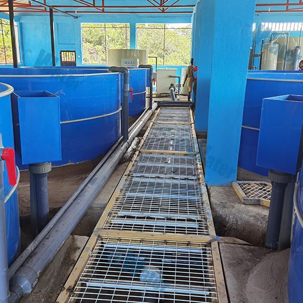 Safety and Use of Rotary Vacuum Filtration