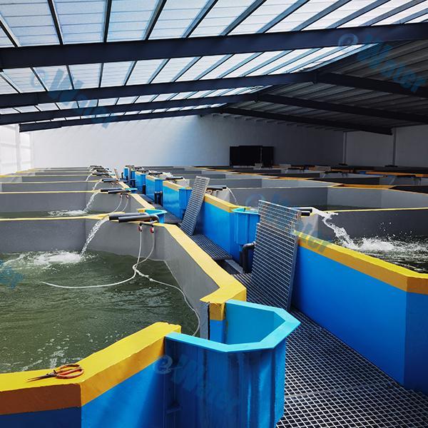 ວິທີການໃຊ້ Ras Aquaculture
