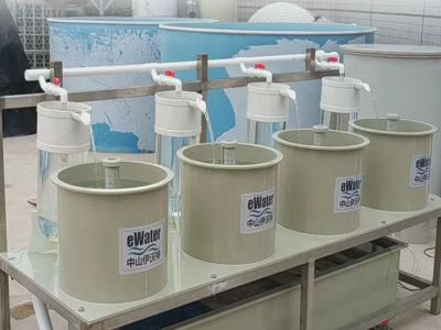 What to Consider When Designing a Fish Hatchery System