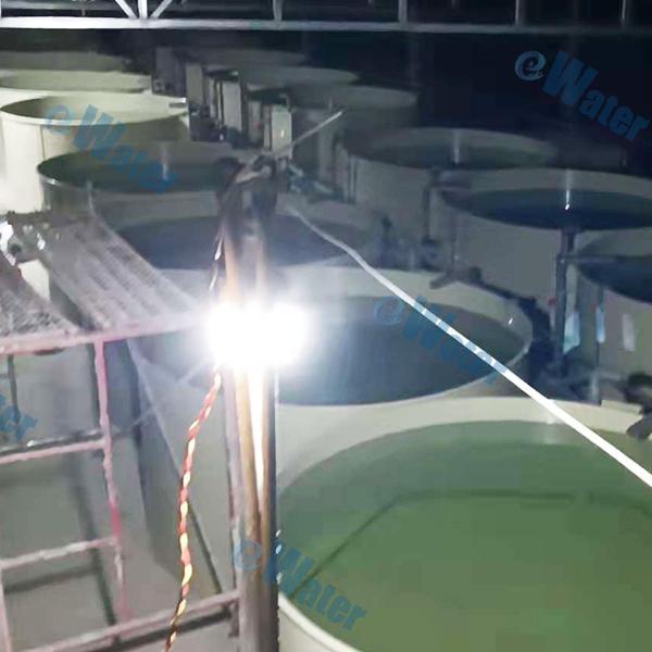 How to Start Shrimp Farming