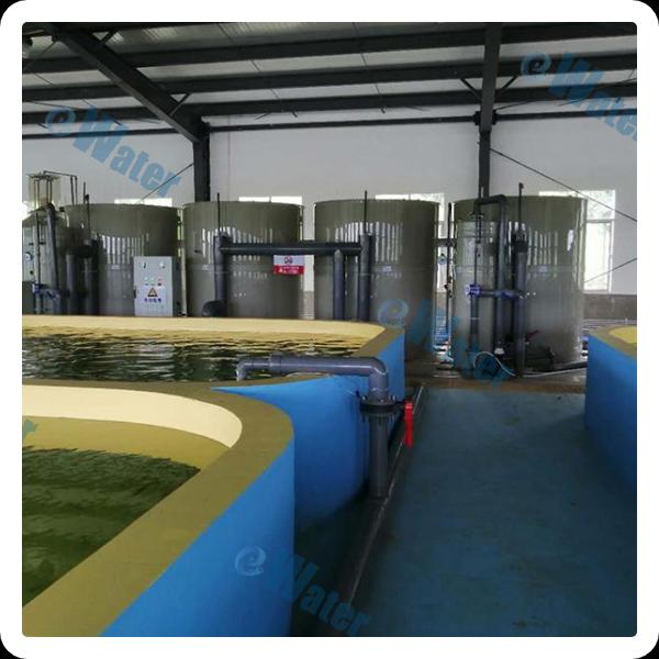How to Use RAS system in Aquaculture