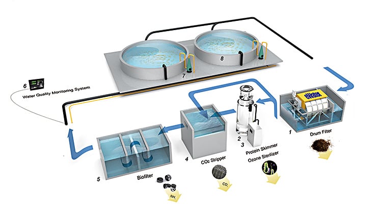 Recirculating Aquaculture System factory