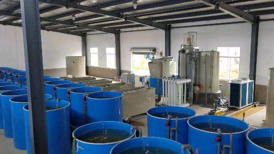 Recirculating Aquaculture System factory