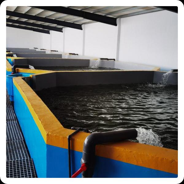 Essential equipment for successful aquaculture operations
