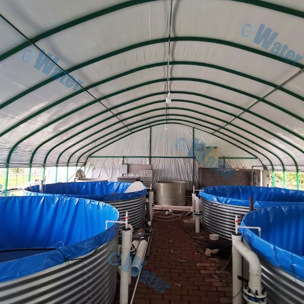 Ozone Skimmer - اجعل مسبحك نظيفًا وآمنًا كما يمكن أن يكون