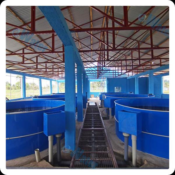 Advantages of Recirculating Aquaculture Systems