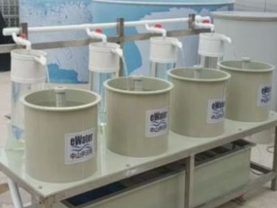 Automated Fish Farming Solutions for Commercial Hatcheries