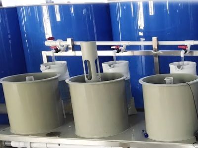 Why Zero-Exchange Shrimp Culture Protects Ponds from Viral Outbreaks