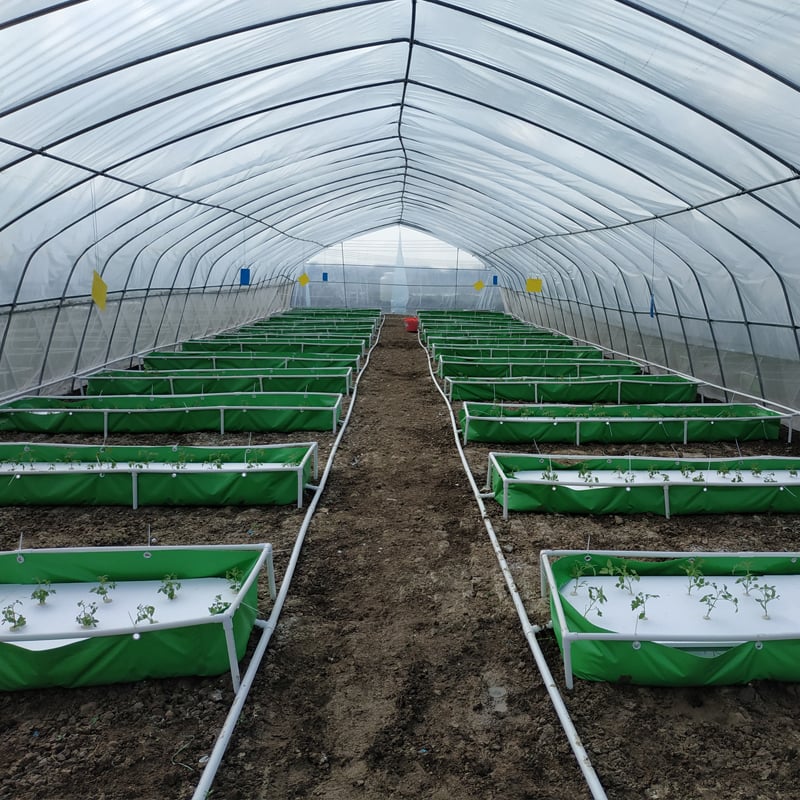 Commercial Aquaponic System and Fish Farming System supplier