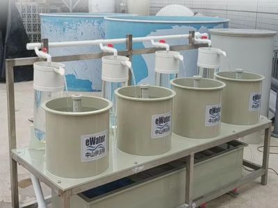 How Closed-Loop Recirculating Aquaculture Blocks Outside Pathogens