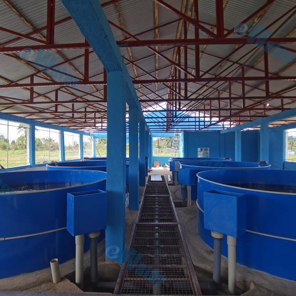 When to Use an Indoor Fish Farm