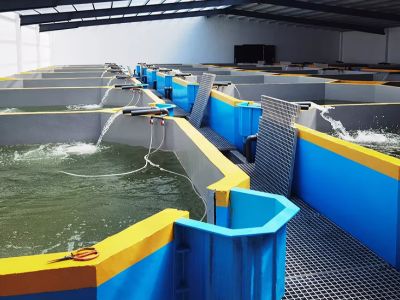 The Scalable Recirculating Aquaculture Setup Built for High Density