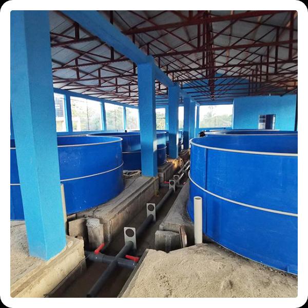 Benefits of using incubation fish