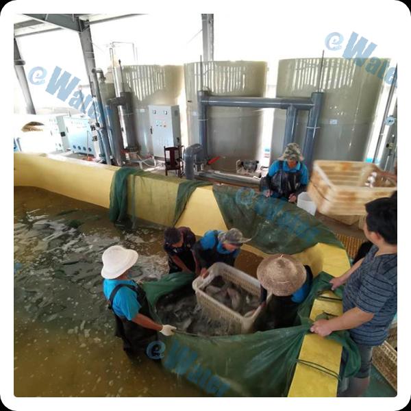 Some Cutting-Edge Solutions for Water Purification