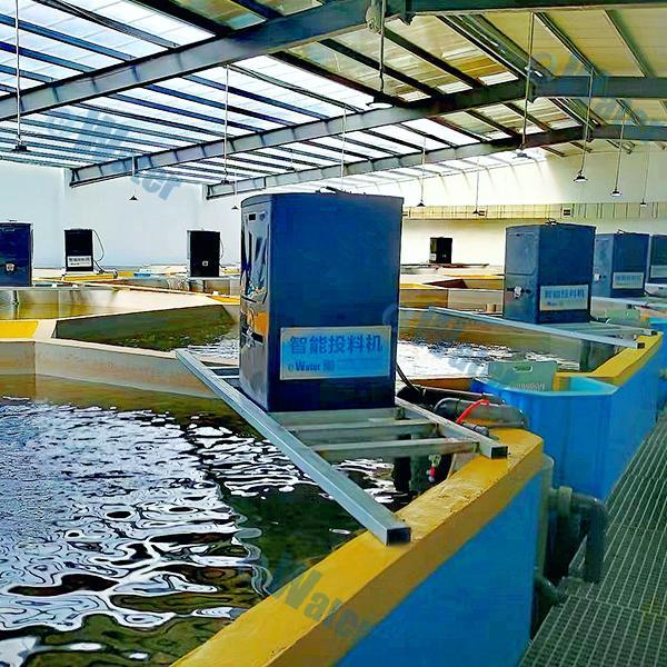 Indoor Fish Farm Equipment Security and Utilization