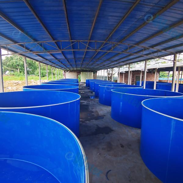State of the Art in Aquaculture Beyond Better Feed Conversion Products